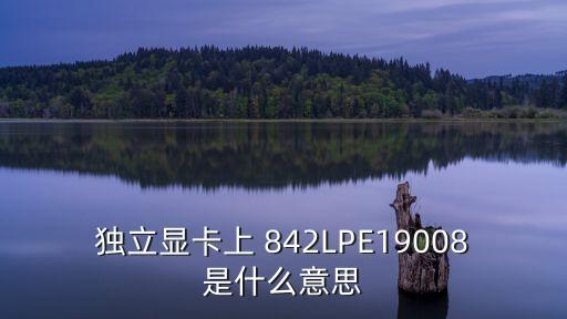 獨(dú)立顯卡上 842LPE19008是什么意思