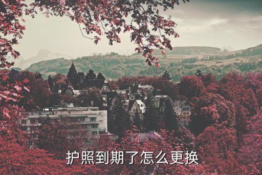 護照更新