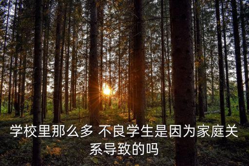 學(xué)校里那么多 不良學(xué)生是因?yàn)榧彝リP(guān)系導(dǎo)致的嗎