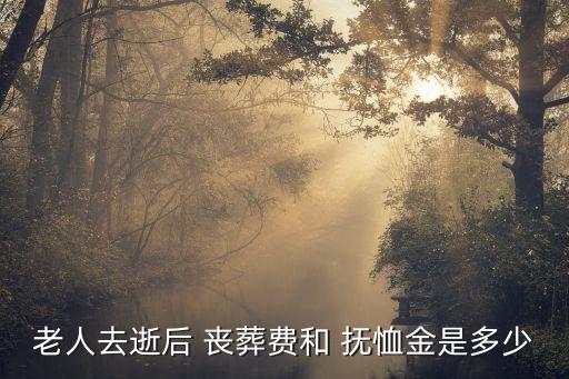 老人去逝后 喪葬費和 撫恤金是多少