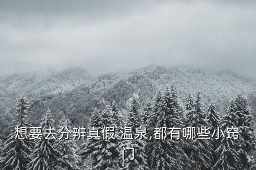 想要去分辨真假 溫泉,都有哪些小竅門