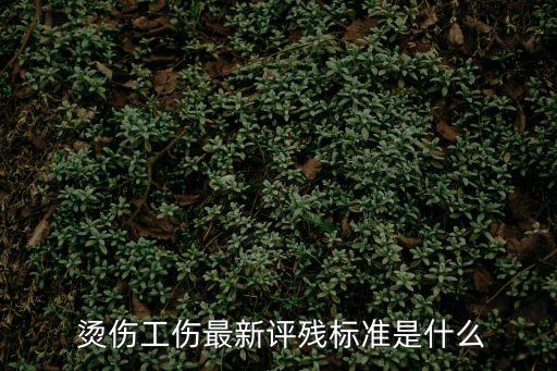 燙傷等級,手被燙傷等級