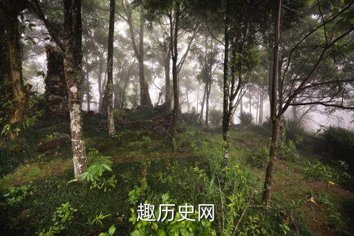 趣歷史網(wǎng)