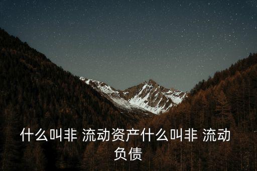 什么叫非 流動(dòng)資產(chǎn)什么叫非 流動(dòng) 負(fù)債