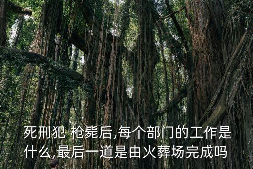  死刑犯 槍斃后,每個(gè)部門的工作是什么,最后一道是由火葬場(chǎng)完成嗎