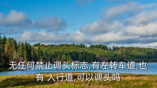 人行道可以掉頭嗎,左轉(zhuǎn)車道前面有人行道可以掉頭嗎