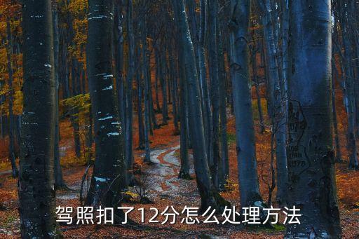 駕照扣了12分怎么處理方法