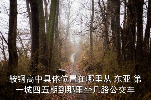 鞍鋼高中具體位置在哪里從 東亞 第一城四五期到那里坐幾路公交車