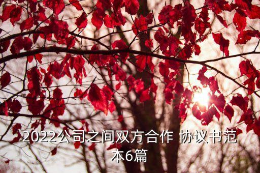 2022公司之間雙方合作 協(xié)議書范本6篇