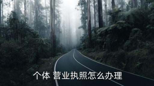  個(gè)體 營(yíng)業(yè)執(zhí)照怎么辦理