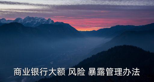 風(fēng)險(xiǎn)暴露,最大單家同業(yè)單一客戶風(fēng)險(xiǎn)暴露