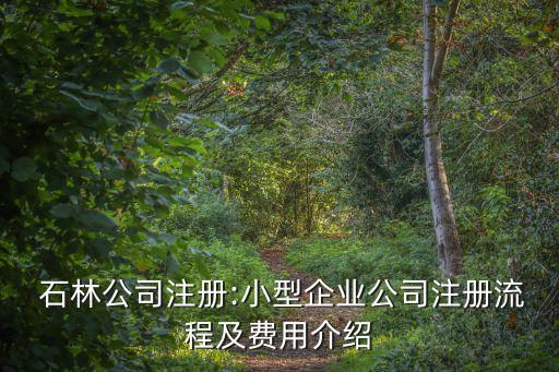  石林公司注冊:小型企業(yè)公司注冊流程及費用介紹
