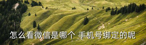 怎么看微信是哪個 手機(jī)號綁定的呢