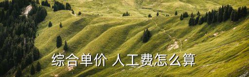 綜合單價 人工費怎么算
