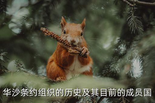 北大西洋公約第5條規(guī)定