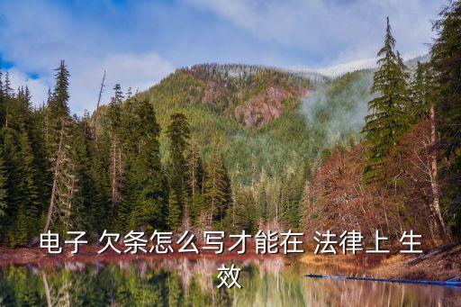 網上欠條怎么寫才能在法律上生效,線上簽合同用什么軟件