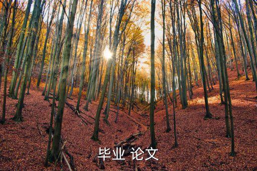 關(guān)于合同無(wú)效的論文,論合同無(wú)效的條件論文