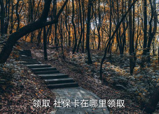 社?？ㄈツ睦镱I(lǐng),長沙市雨花區(qū)社?？ㄈツ睦镱I(lǐng)