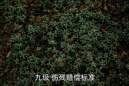  九級 傷殘賠償標(biāo)準(zhǔn)