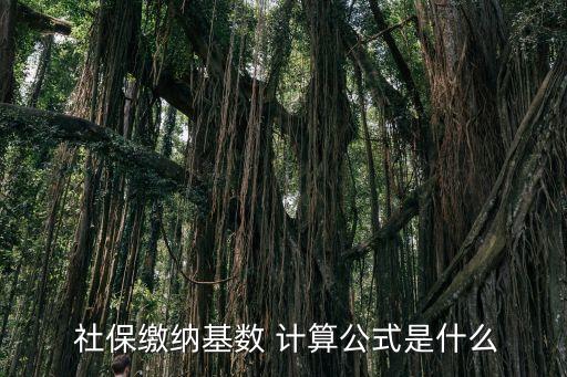 社保計算