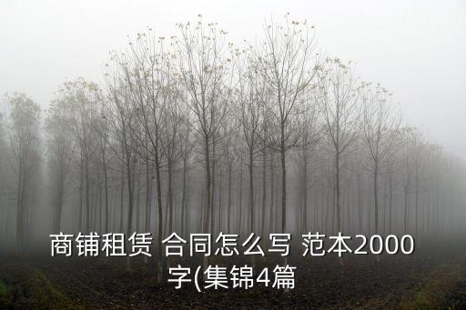 商鋪?zhàn)赓U 合同怎么寫(xiě) 范本2000字(集錦4篇