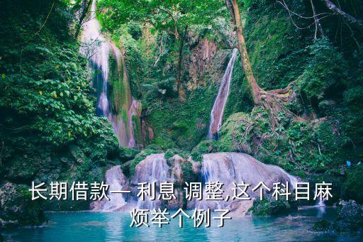 長期借款— 利息 調(diào)整,這個(gè)科目麻煩舉個(gè)例子