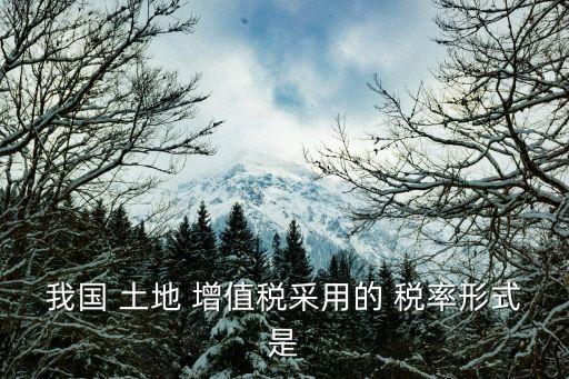 我國 土地 增值稅采用的 稅率形式是