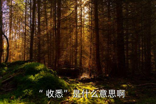收悉與收到的區(qū)別,收到跟收悉的意思區(qū)別在哪