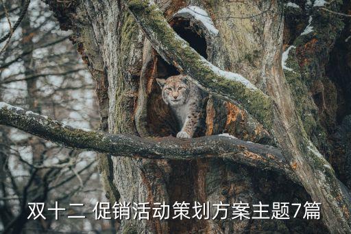 折扣促銷