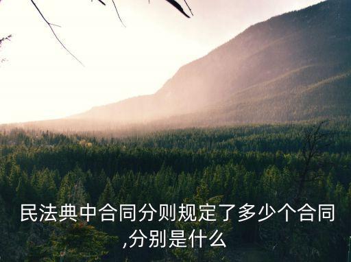  民法典中合同分則規(guī)定了多少個合同,分別是什么