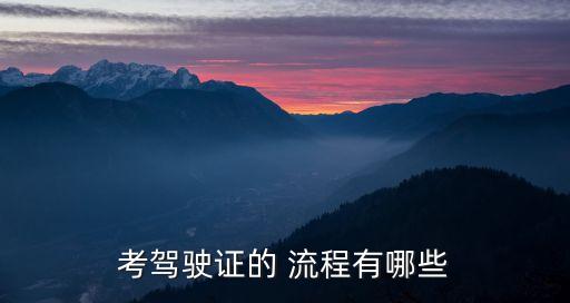 考駕駛證的 流程有哪些