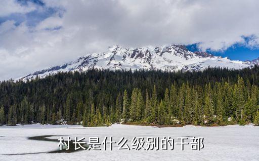 村主任就是村長嗎,2023年村干部將正式入編