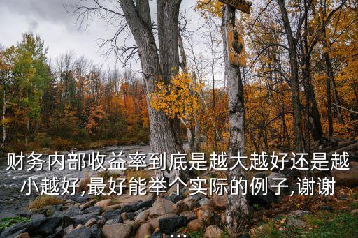 EIRR,eirr是什么的意思