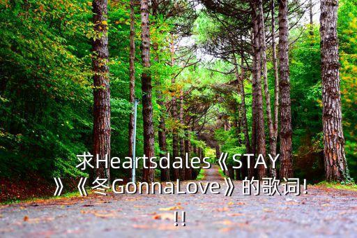 求Heartsdales《STAY》《冬GonnaLove》的歌詞!!!