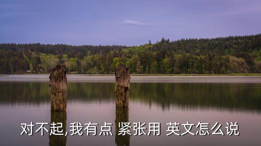 對(duì)不起,我有點(diǎn) 緊張用 英文怎么說(shuō)