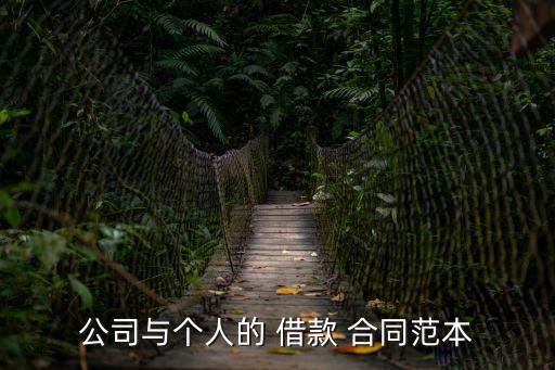 企業(yè)向個(gè)人借款合同模板怎么寫,借款合同怎么寫才能法律有效借款合同模板