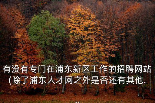 有沒有專門在浦東新區(qū)工作的招聘網(wǎng)站(除了浦東人才網(wǎng)之外是否還有其他...