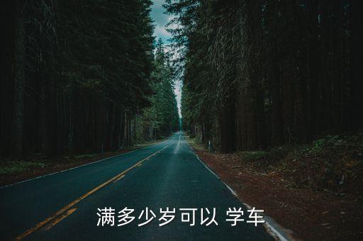 滿多少歲可以 學(xué)車