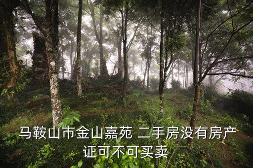  馬鞍山市金山嘉苑 二手房沒(méi)有房產(chǎn)證可不可買(mǎi)賣(mài)