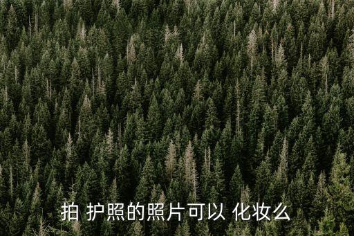 拍 護(hù)照的照片可以 化妝么