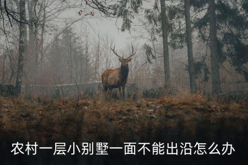 農(nóng)村一層小別墅一面不能出沿怎么辦