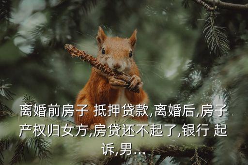 夫妻一方單獨抵押房產(chǎn) 起訴銀行