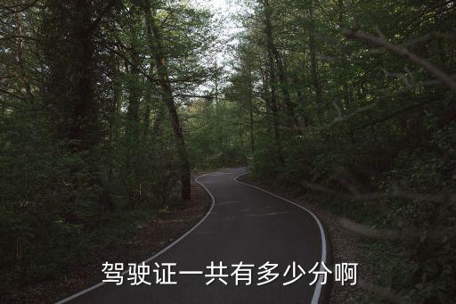  駕駛證一共有多少分啊