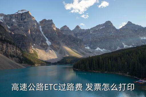 通行費發(fā)票