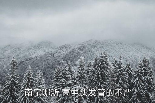 南寧私立高中