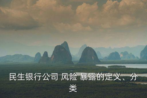 民生銀行公司 風(fēng)險(xiǎn) 暴露的定義、分類