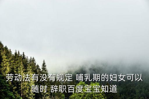 勞動法有沒有規(guī)定 哺乳期的婦女可以隨時 辭職百度寶寶知道