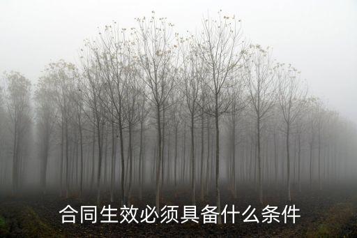  合同生效必須具備什么條件