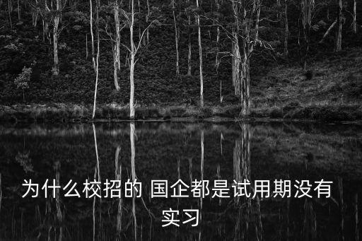 為什么校招的 國企都是試用期沒有 實習(xí)