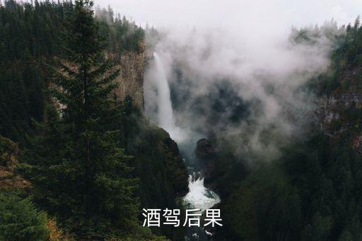 酒駕的危害,醉駕酒駕的危害